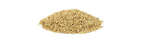 SESAME BIO