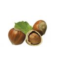 LOOSE PLAIN ORGANIC HAZELNUTS