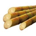  LOOSE ORGANIC WHOLE SUGAR CANE