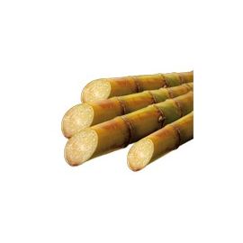 SUCRE DE CANNE ROUX BIO VRAC SAC 2 kg