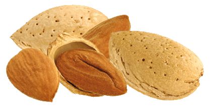 Amandes Bio