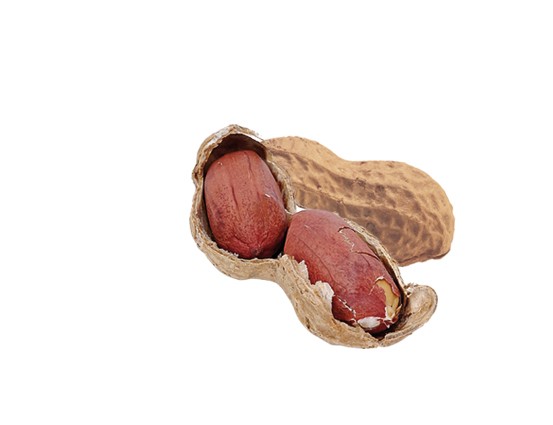 Cacahuètes Bio