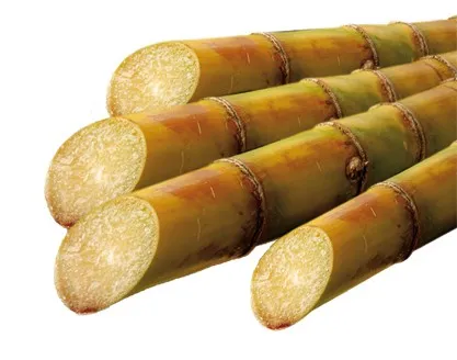 Sucre glace Bio Demeter vrac