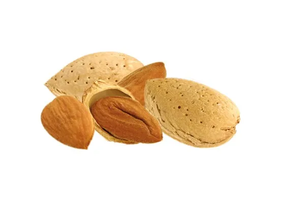 Purée d&rsquo;amande complète Bio