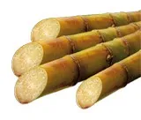 Suc de canne intégral Bio