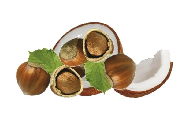 Kokolo
