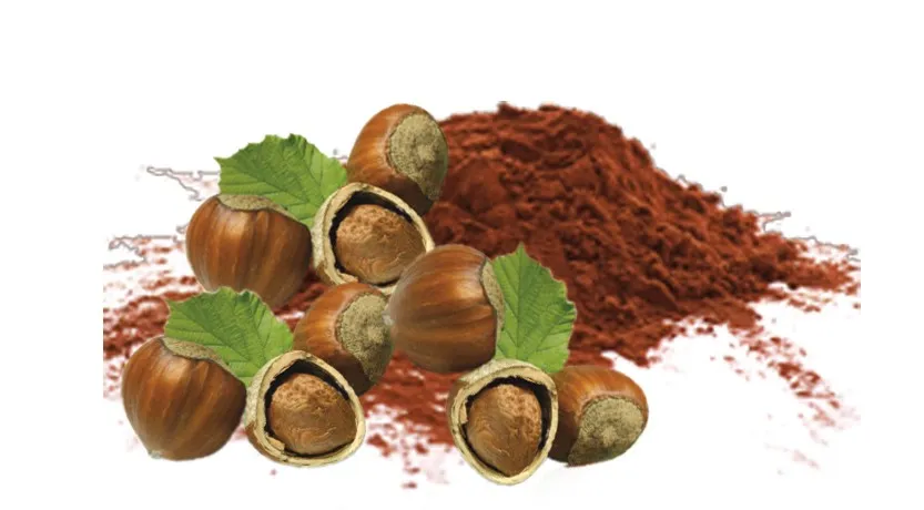 Chocolade Sans Lait