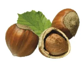 Praliné noisette vrac